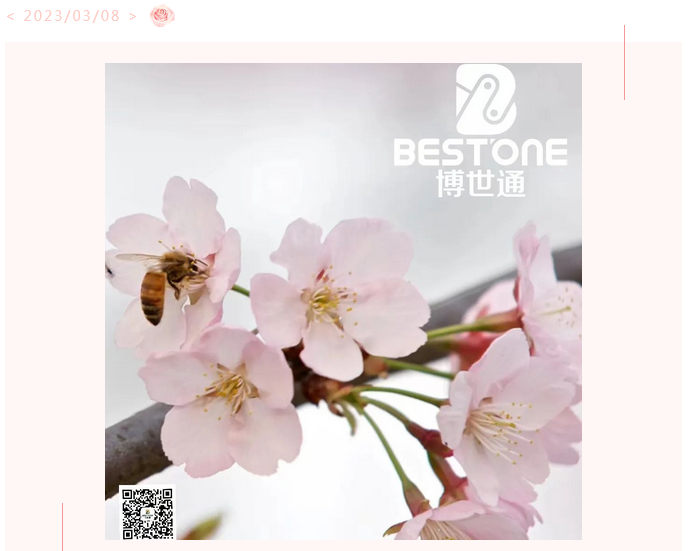 博世通（青岛）智能装备有限公司祝大家女神节快乐